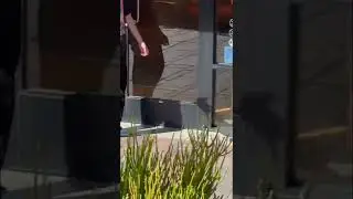 Kickflip off 6 stair