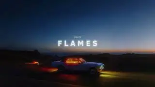 Diielex - Flames
