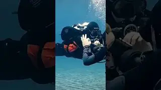 What is the MOST crucial skill for any divers to master ? #diving #howto #underwater #scuba #skills