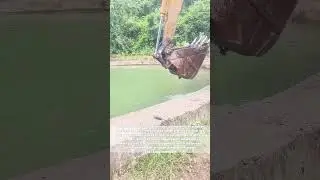 Innovative Aquaculture: Heavy Machinery Meets Delicate Fish Stocking