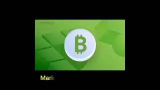 Bitcoin Cash 24 Hour Price Chart | BCH 24 Hour Trading Volume Analysis #bitcoincash #cryptocurrency