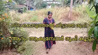 ഇടിചക്ക കിട്ടുമ്പോൾ ഇനി ഇങ്ങനെയൊന്ന് തോരൻ വെച്ചു നോക്കൂ.# village cooking#cooking vlog