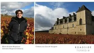 S2E8: Grands Crus and Grands Vignerons