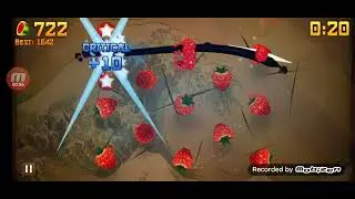 Fruit Ninja High Score 1454