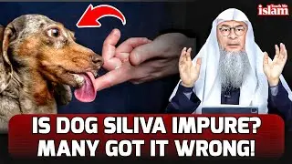 Dog Saliva in Islam &ndash; Pure or Impure? The Shocking Truth! || Sheikh Assim Al Hakeem