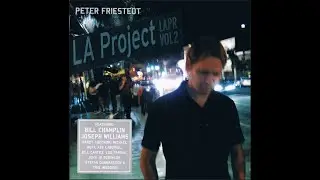 Peter Friestedt - Where To Touch You