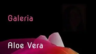Galeria Aloe Vera