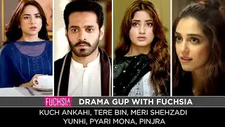 Kuch Ankahi | Tere Bin | Yunhi | Pinjra | Meri Shehzadi | Pyari Mona | Drama Gup with FUCHSIA