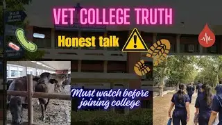 VET college truth  ⚠️MUST WATCH before u join vet college 🩺🐾#veterinary #neet