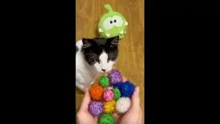 Cat Nach 😸 Satisfying Reverse Marbles 🔮