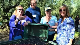 Cultural, Culinary & Olive Harvest Experience Tour in Abruzzo Italy