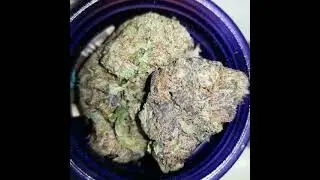 to Exotic marijuana strains