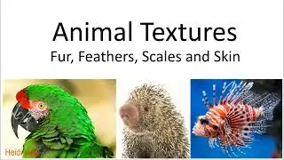 ANIMAL TEXTURE GAME for Elementary Art Teachers. Lesson #1 in my 4 part Kindergarten texture series