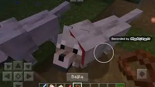 Minecraft  kurt  eğittik