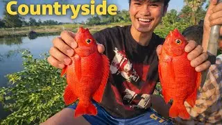 Rural Village Fishing | Relaxing Moments Away from Social Media
