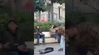 Turkey Visit at a Glance
