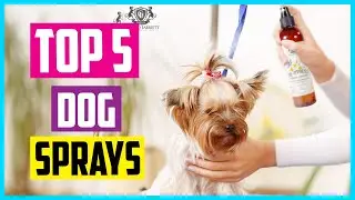 ✅ Top 5 Best Dog Sprays In 2024 Review