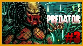 AvP Classic2000 | Predator Campaing #3 | Gameplay 4K