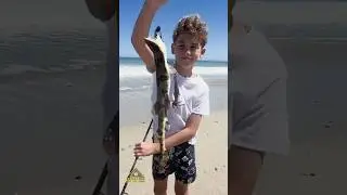 We Didn't Expect What These Kids Caught! 🐟🔥🎣 #shorts #fishing #catchcook #outdoors  #fish