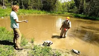 Puppy Introduction to Water