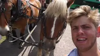 JEG ER BANGE FOR HESTE!!!!