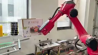 Robot Carton Erector for Multiple Carton Sizes Robot Case Erecting Machine