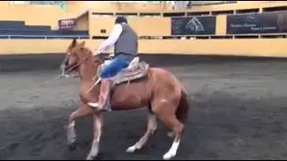 22 Enero 2014