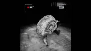 Cam10