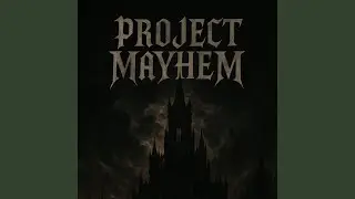 Project Mayhem