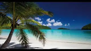 Surrender To Sound - Escape Reality (Electronic | EDM | House Techno | Island Drum | Tropical Music)