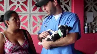World Vets Final Video