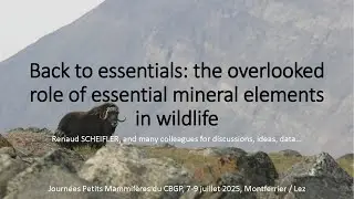 JPM2025-Scheifler
