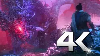 WO Long Game play Part 22