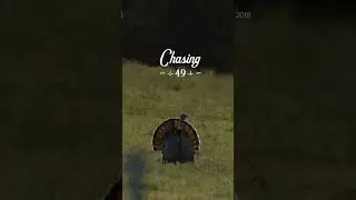 C49 | Pasture Bird |  #chasing49 #hunting #deerhunting #mossyoak #wildlife #outdoors #nwtf