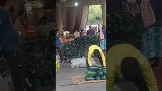 #kalingar 15 rupaye kilo holsale# #fruit market#🍉🍇🍍🍎❤️