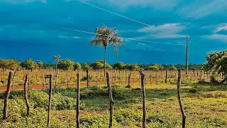 Passeio no Interior 🌾 | Vida Simples e Tranquila na Fazenda Cocais