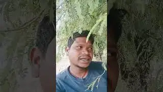 Kulhi muched jharps jojo //Santhali shorts videos 🔥🌿#santhali_short_video