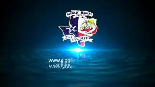 Gigglin Marlin Dive & Swim
