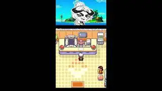 Pokemon Emerald Nuzlocke Soul-Link Randomizer