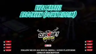 VYBZ KARTEL - BROOKLYN (REMIX)
