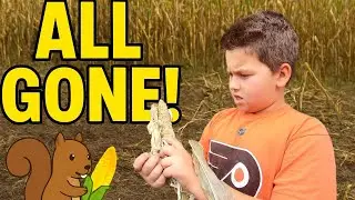 Squirrels STOLE All Our Corn! 🌽🐿️ (Garden Heist)