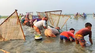Most Extreme Fishing with Documentary | Village Fishing Adventures in Bangladesh | MR Fishing Life