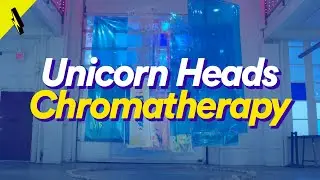 Unicorn Heads - Chromatherapy