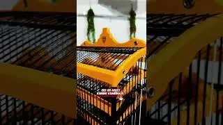 Sangkar Pasama isi3 kuning #kicaumania sa #sangkarpasama #dendipasama