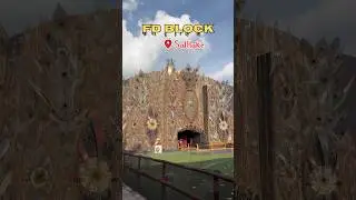 FD Block Saltlake | Saltlake Pandal 2025 | @Soumidas04