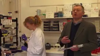 Equine Flu &ndash; How does the Animal Health Trust AHT diagnose Equine Flu