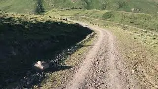 Dağevi Ardahan 28 Haziran 2024