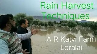 Rain Harvest olive plot katvi farm