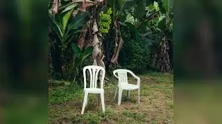 BAD BUNNY - LA MuDANZA