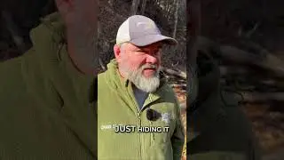The Only Proven Way To Remove Skunk Smell From Dogs 🦨